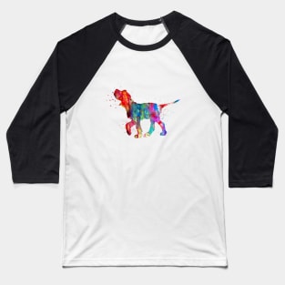 Italian Spinone Baseball T-Shirt